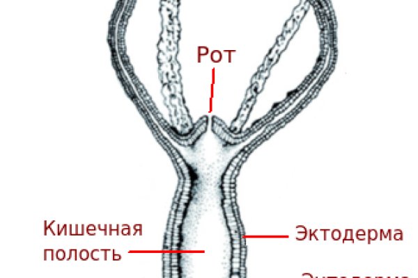 Сайты с наркотой