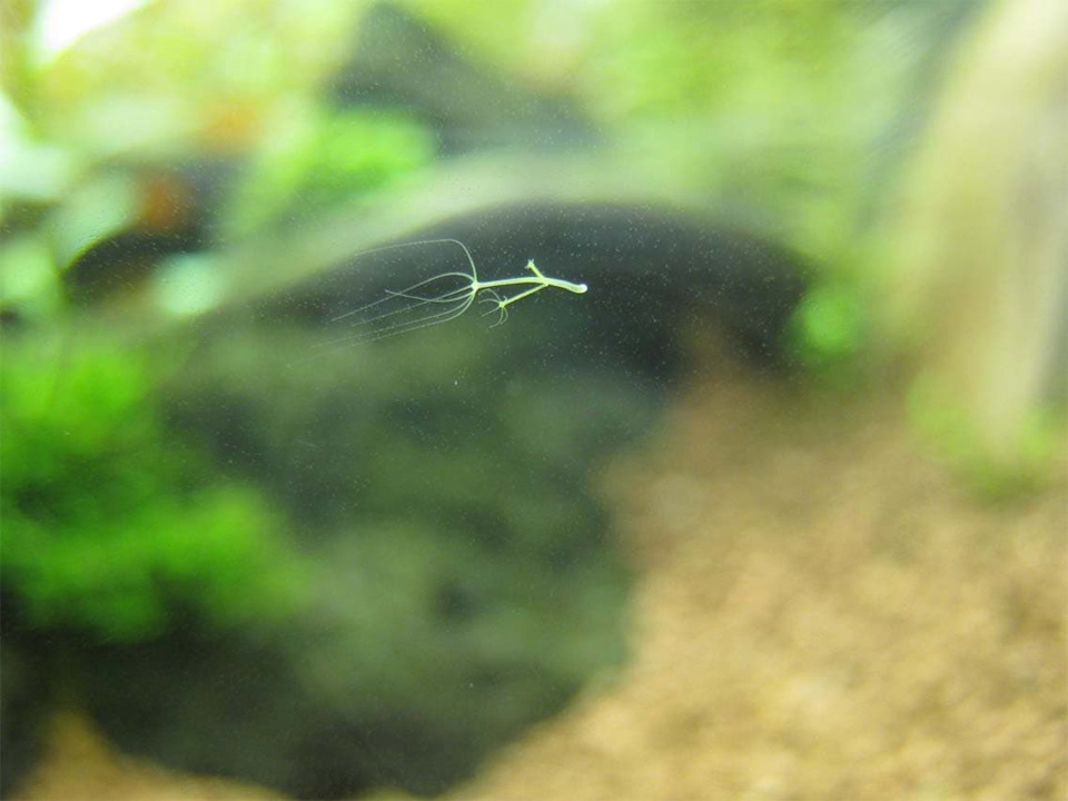 Даркнет сайт скачать