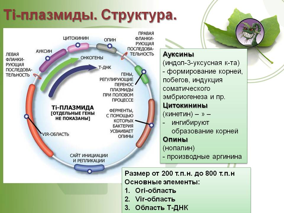 Кракен сайт работает