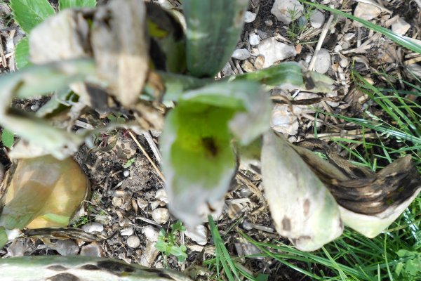Как войти в кракен