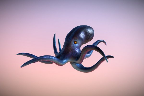Kraken актуальное