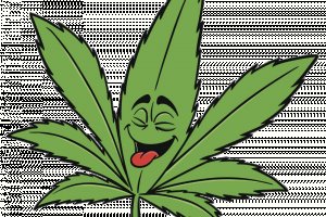 Кракен ссылка германия